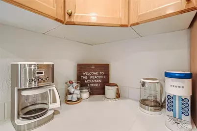 133 Linn Lane, Golden, CO 80403 - Photo 11