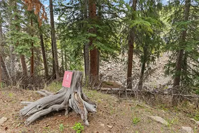 861 High Point Drive, Breckenridge, CO 80424 - Photo 49