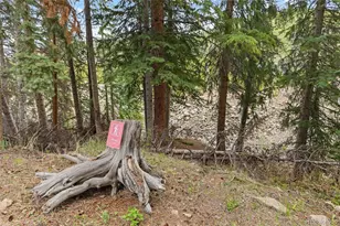 861 High Point Dr, Breckenridge, CO 80424 - Photo 49