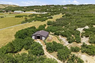 698 Peak View Dr, Castle Rock, CO 80109 - Photo 47