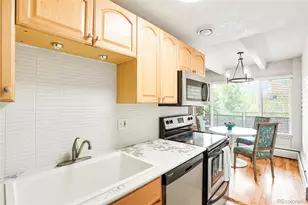 250 N Pearl, Denver, CO 80203 - Photo 9
