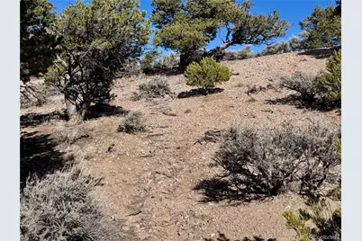 Lot 1762 Slegers Road, Fort Garland, CO 81133 - Photo 11