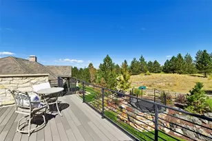 37 Flowerburst Way, Highlands Ranch, CO 80126 - Photo 43