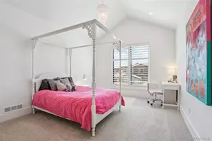 37 Flowerburst Way, Highlands Ranch, CO 80126 - Photo 21