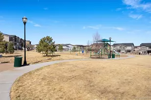 3564 Fennel St, Castle Rock, CO 80109 - Photo 31