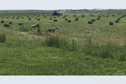 3904 S Russellville Road, Franktown, CO 80116 - Photo 5
