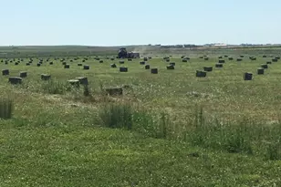 3904 S Russellville Rd, Franktown, CO 80116 - Photo 5