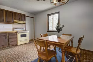 1899 Roland Dr, Bailey, CO 80421 - Photo 7