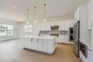 497 Leafy Aster Ln, Castle Rock, CO 80104 - Photo 9