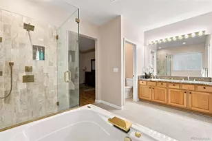 10574 Jaguar Point, Lone Tree, CO 80124 - Photo 27