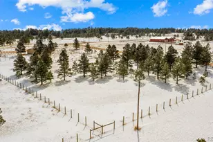 17660 Cleese Ct, Peyton, CO 80831 - Photo 33