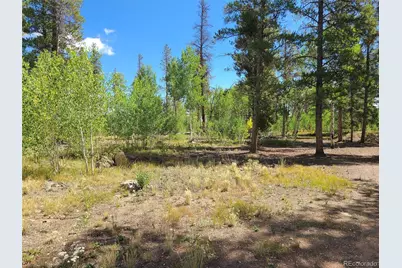 757 Thompson Park Road, Fairplay, CO 80440 - Photo 21