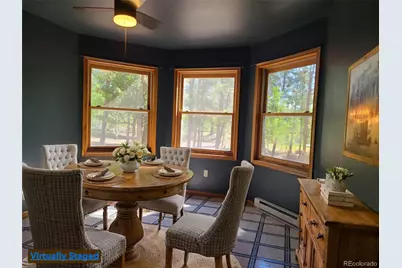757 Thompson Park Road, Fairplay, CO 80440 - Photo 9
