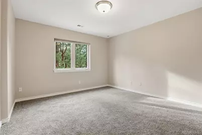 4163 Cheyenne Drive, Larkspur, CO 80118 - Photo 25