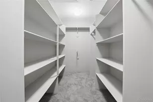 4163 Cheyenne Dr, Larkspur, CO 80118 - Photo 23