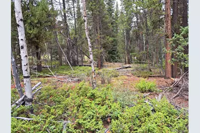 1201 Beaver Creek Road, Fairplay, CO 80440 - Photo 25