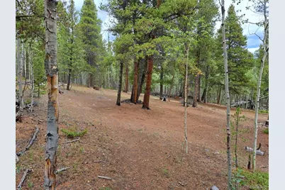 1201 Beaver Creek Road, Fairplay, CO 80440 - Photo 11