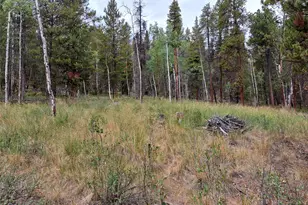 1201 Beaver Creek Rd, Fairplay, CO 80440 - Photo 1