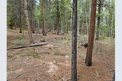 1201 Beaver Creek Road, Fairplay, CO 80440 - Photo 21