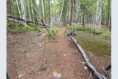 1201 Beaver Creek Road, Fairplay, CO 80440 - Photo 23