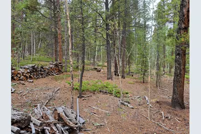 1201 Beaver Creek Road, Fairplay, CO 80440 - Photo 13