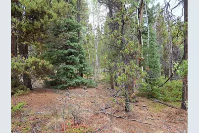 1201 Beaver Creek Road, Fairplay, CO 80440 - Photo 5