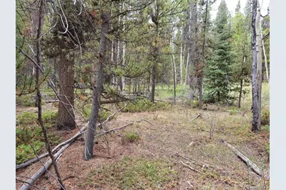 1201 Beaver Creek Road, Fairplay, CO 80440 - Photo 17