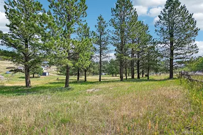 461 Yellow Pine Drive, Bailey, CO 80421 - Photo 3