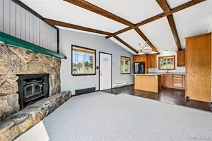 461 Yellow Pine Dr, Bailey, CO 80421 - Photo 9