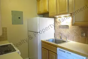 733 E 2nd Ave, Denver, CO 80203 - Photo 9