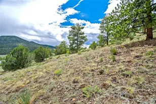 349 Post Rd, Guffey, CO 80820 - Photo 35