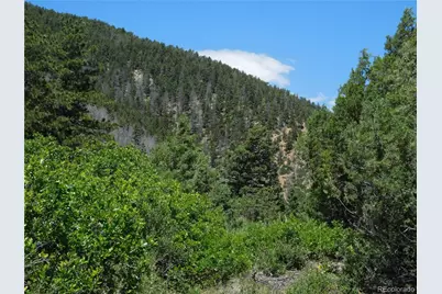 5900 Pawnee Road, Larkspur, CO 80118 - Photo 37