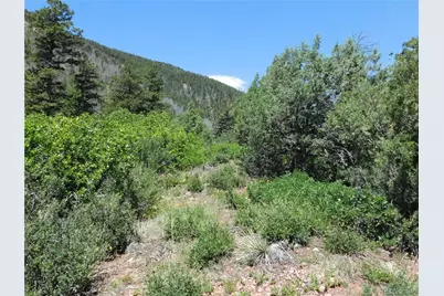 5900 Pawnee Road, Larkspur, CO 80118 - Photo 39