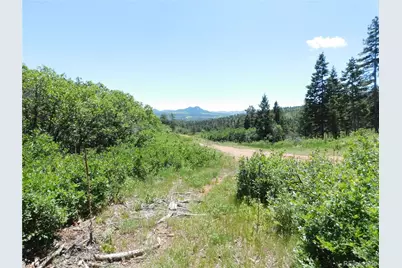 5900 Pawnee Road, Larkspur, CO 80118 - Photo 41