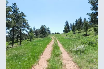 5900 Pawnee Road, Larkspur, CO 80118 - Photo 7