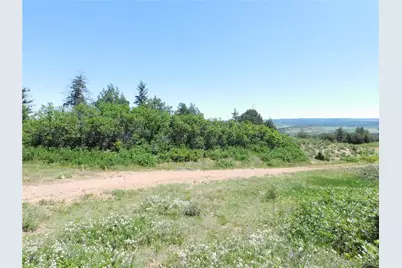 5900 Pawnee Road, Larkspur, CO 80118 - Photo 25