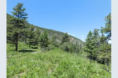 5900 Pawnee Road, Larkspur, CO 80118 - Photo 5