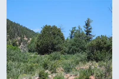 5900 Pawnee Road, Larkspur, CO 80118 - Photo 13