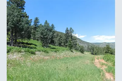 5900 Pawnee Road, Larkspur, CO 80118 - Photo 43