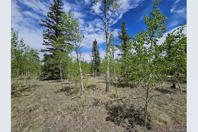 412 Smith and Wesson Road, Como, CO 80456 - Photo 13
