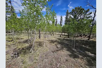 412 Smith and Wesson Road, Como, CO 80456 - Photo 19