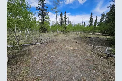412 Smith and Wesson Road, Como, CO 80456 - Photo 23