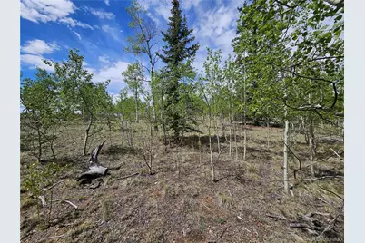 412 Smith and Wesson Road, Como, CO 80456 - Photo 15