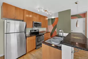 1336 N Logan Street, Denver, CO 80203 - Photo 17