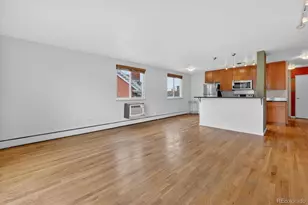 1336 N Logan Street, Denver, CO 80203 - Photo 23