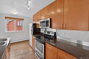 1336 N Logan Street, Denver, CO 80203 - Photo 15