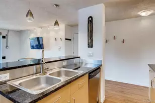 1336 N Logan Street, Denver, CO 80203 - Photo 9