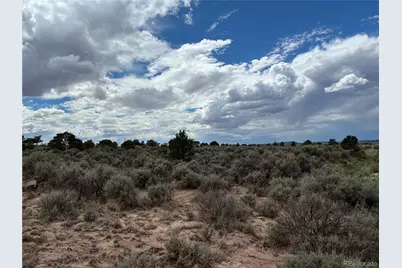 Lot 7291 Luvie Road, Fort Garland, CO 81133 - Photo 5