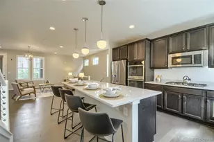 3675 Penang Dr, Castle Rock, CO 80109 - Photo 7
