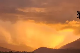 499 Clark Rd, Bailey, CO 80421 - Photo 23